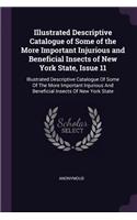 Illustrated Descriptive Catalogue of Some of the More Important Injurious and Beneficial Insects of New York State, Issue 11: Illustrated Descriptive Catalogue of Some of the More Important Injurious and Beneficial Insects of New York State