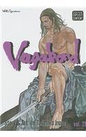 Vagabond, Vol. 29