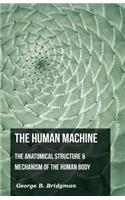 Human Machine - The Anatomical Structure & Mechanism Of The Human Body