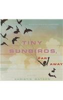 Tiny Sunbirds, Far Away