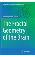 Fractal Geometry of the Brain