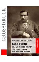 Eine Studie in Scharlachrot (Großdruck)