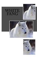 White Fang