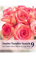 Jumbo Number Search 9