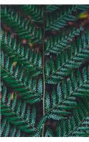 Dark Emerald Green Fern Fronds Up Close Plant Journal: 150 Page Lined Notebook/Diary