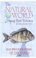 Saltwater Fish of the World Card Game