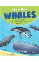 How to Draw Whales Step-by-Step Guide