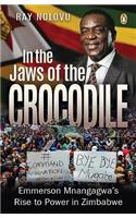 In the Jaws of the Crocodile: Emmerson Mnangagwa’s Rise to Power in Zimbabwe