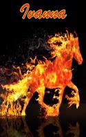 Horse Passion