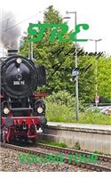 The Ronin Express