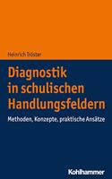 Diagnostik in Schulischen Handlungsfeldern: Methoden, Konzepte, Praktische Ansatze