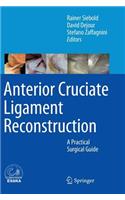 Anterior Cruciate Ligament Reconstruction