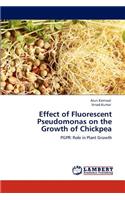 Effect of Fluorescent Pseudomonas on the Growth of Chickpea