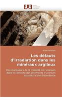Les Defauts D'Irradiation Dans Les Mineraux Argileux