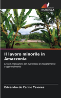 Il lavoro minorile in Amazzonia