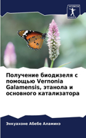 Получение биодизеля с помощью Vernonia Galamensis, этанола