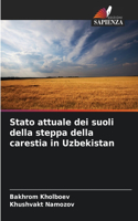 Stato attuale dei suoli della steppa della carestia in Uzbekistan