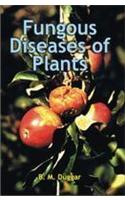 Fungous Diseases Of Plants