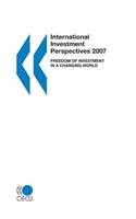 International Investment Perspectives 2007
