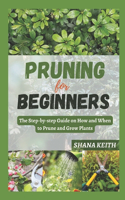 Pruning for Beginners