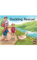 Duckling Rescue