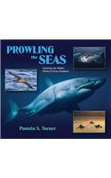 Prowling the Seas