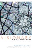 Visionary Pragmatism