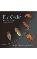 Fly Cycle 2