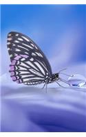 Butterfly Journal