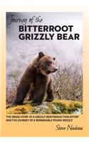 Journey of the Bitterroot Grizzly Bear