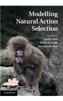 Modelling Natural Action Selection