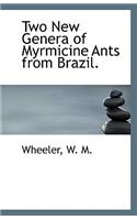 Two New Genera of Myrmicine Ants from Brazil.