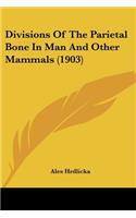 Divisions Of The Parietal Bone In Man And Other Mammals (1903)