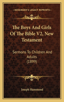 Boys And Girls Of The Bible V2, New Testament