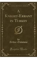 A Knight-Errant in Turkey (Classic Reprint)