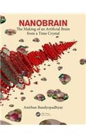 Nanobrain: The Making of an Artificial Brain from a Time Crystal