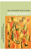 Catching Gossamers