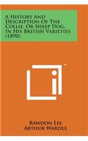 History and Description of the Collie, or Sheep Dog, in His British Varieties (1890)