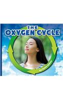 Oxygen Cycle