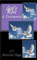 God's Rose A Testimonial