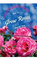 How to Grow Roses Step by Step