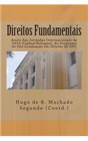 Direitos Fundamentais: Anais Das Jornadas Internacionais de 2014 Do Programa de Pos-Graduacao Em Direito Da Ufc