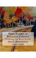 Brer Rabbit in Bulloch County