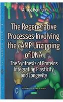 Regenerative Processes Involving the cAMP Unzipping of DNA