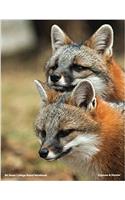 80 Page College Ruled Fox Notebook: Foxes of Wolf Park (Gypsum & Hunter)