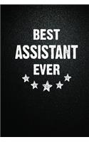 Best Assistant Ever