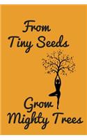 From Tiny Seeds Grow Mighty Trees