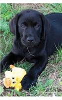 Black Lab Puppy Planner: Dog Wisdom Quotes