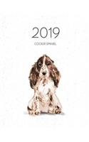 2019 Cocker Spaniel