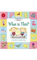 What is This? (Toddler Time)
